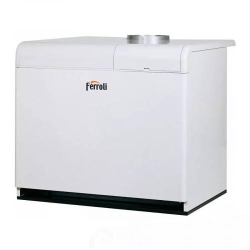 Напольный газовый котел Ferroli Pegasus F3 N 119 2S  Газовые купить не дорого с установкой. Большой выбор товаров в каталоге, скидки, акции, гарантия.